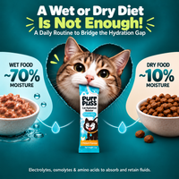 PurrPuss - Real Electrolytes Hydration Treat