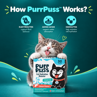 PurrPuss - Real Electrolytes Hydration Treat