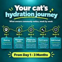 PurrPuss - Real Electrolytes Hydration Treat