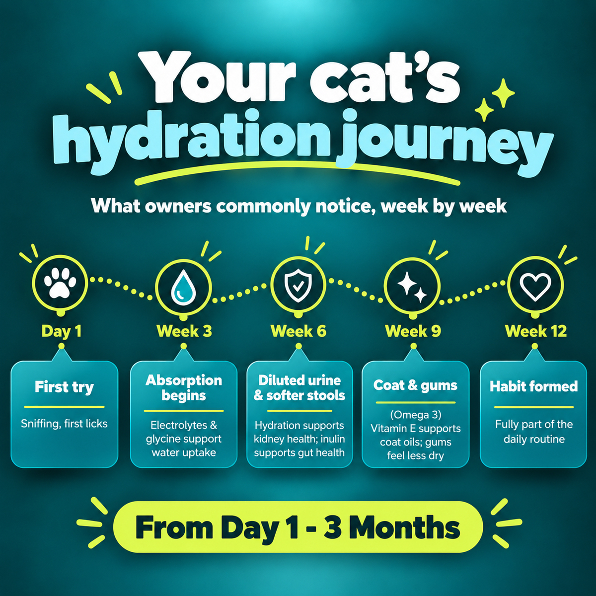 PurrPuss - Real Electrolytes Hydration Treat