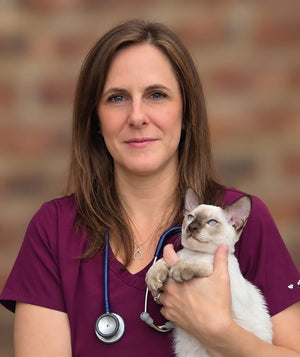 Dr Victoria Lorraine Poulton -  BVSc, MRCVS